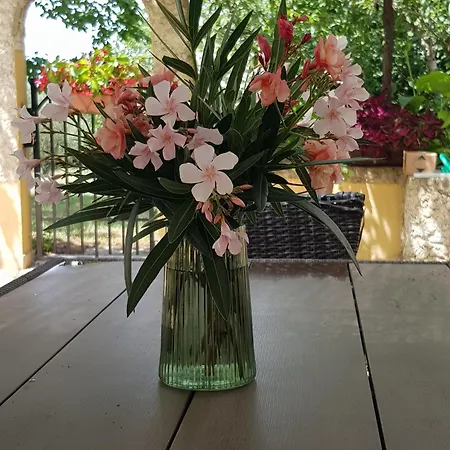 House Jadranka Holiday home Pula