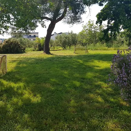 House Jadranka Holiday home Pula