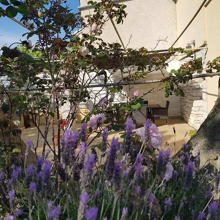 House Jadranka * Pula